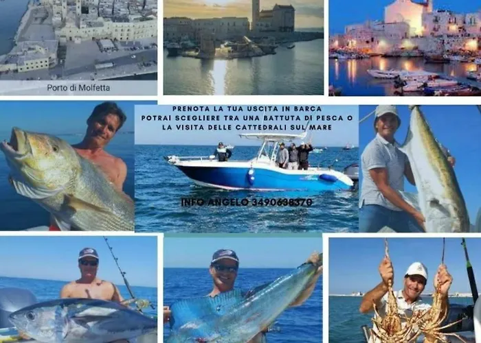 Pergola * Мольфетта